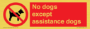 no-dogs-except-assistance-dogs~